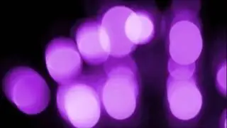 Hoffen - Purple Light