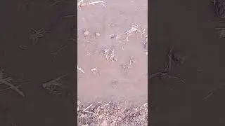 #viral #love #agricultur #memes #khedut #nature #farmer #viralmemes