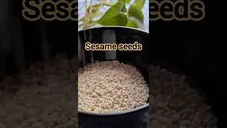 Benefits Of Sesame seeds #shorts #sesameseeds #ayurveda #viral