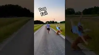 Dog Knocks Girl Over During Race With Dad