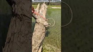 This Hack Is Surprisingly Strong ✅ || #skills #diy #knowledge #shorts