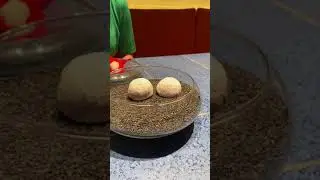 Disfrutar Barcelona 4