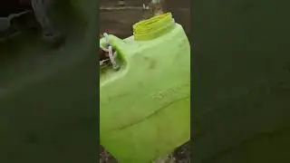 fetching drinking water in farm