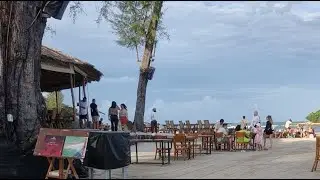 Planet Papas is live PI BEACH CLUB