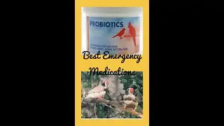 Top Emergency Medications for birds.