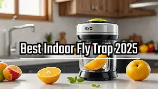 Zevo Plug-In Bug Catcher for Gnats & Fruit Flies