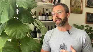 Tasting Note: Scions of Sinai Atlantikas Pinotage. Future of the Variety from Coastal Stellenbosch