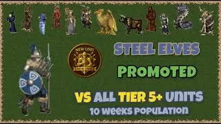 Steel Elves PROMOTED vs all level 5 upgraded units in Heroes 3