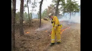 Untrammeling the Wilderness: Restoring Natural Conditions Through the Return of Human-ignited Fire