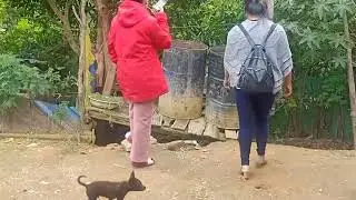 Xibfwb nkaujhlis ( Coj  Nej Mus Saib thawj tim ua ua neeb