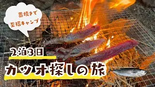 ２泊３日カツオ探しの旅　極上の藁焼きを求めて