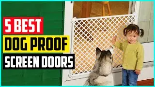 Best Dog Proof Screen Doors In 2021   Top 5 Picks!