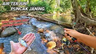 Memancing BANYAK Ikan di Air Terjun Puncak Janing!