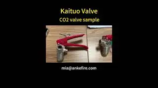 Kaituo Valve CO2 valve sample#fireextinguisher #valve #manufacturing #china #ningbo