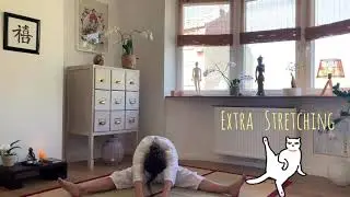 Stretching des méridiens 〽️ ( Makko Ho) I ZEN  EXERCICES VISUALISÉS