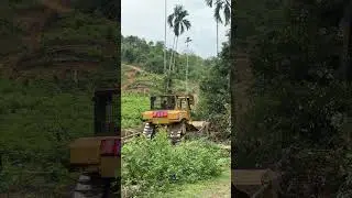 Oil Palm Land Clearing Project in the Mountains of the D6R XL Bulldozer in Action