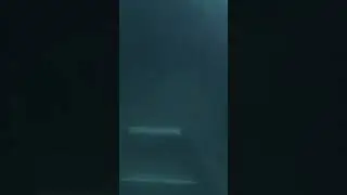 Short: Wreck Diving Inside a School Bus