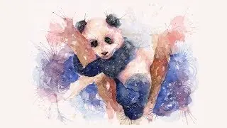 kris tofu - TOFU (w/ potsu)