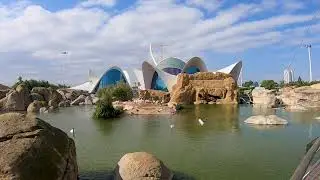Valencia & Oceanographic Museums, Valencia, Spain | Celebrity Cruises