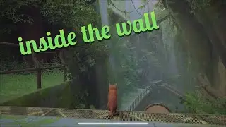 Stray | Inside The Wall Walkthrough