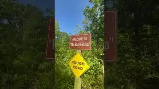 Secluded & Unique 1.7 Acre Property in Palm Harbor!