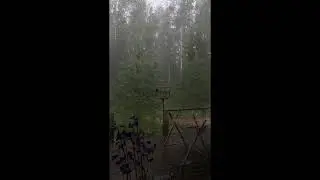 Soft rain by the window overlooking a lush yard (Visual Vibe) Meditate/Relax