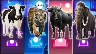 🐄Funny Cow Vs Funny Tiger🐆 Vs 🐃Funny Buffalo Vs 🦣Funny Mammoth |Coffin Dance |Tiles Hop