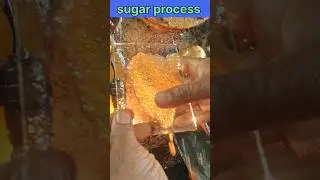 sugar process 👍🙋#excellentwork #viralshorts #shortsfeed #sugarcane #shorts #sugarcane #india #daily
