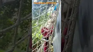 Wisata Pendidikan ( Outbound Psikologi & Edukasi Flora ) Lawang, Malang - Jatim.
