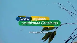 5 de Junio - D&iacute;a Mundial del Medio Ambiente