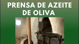 Veja a prensa de azeite de oliva - Professor Clerio Kropp