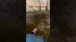 Дренажная система Аскольдова #диггер #rec #заброшка #суперсус