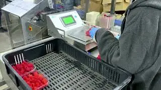Packaging Automation &ndash; Miweigh Intelligent Weighing System