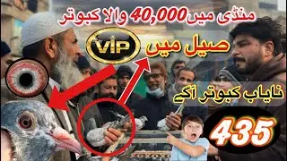 435) Lahore lari ada kabootar mandi || کبوتر منڈی || #amjadaliofficial 