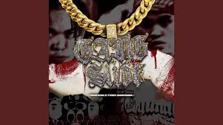 GANG SLIDE (feat. OLG Zak)