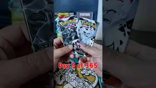 День 5. Челлендж по открытию паков: лучшая находка? #pokemon #pokemontcg #shorts #cardpacks