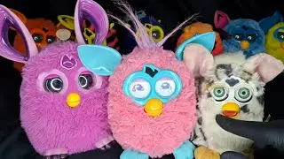 RARE Furby Collection Deep Dive: Furbacca, Furby Connect, and the Elusive Black Furby Boom!