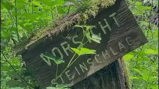 Hiking in the Spessart forest