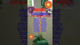 Pasangan weton tibo tunggak semi #weton#neptu#primbon#jodoh#pasaranjawa#tunggaksemi
