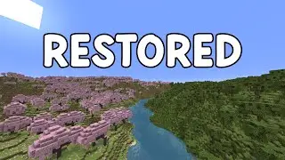 Preventing Moss From Ruining This Server
