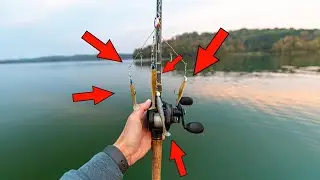 This should be illegal (5 Fish at 1 time?)