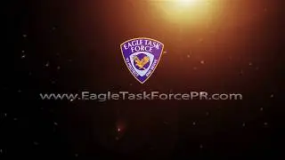 Eagle Task Force - To Protect and Serve