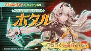【突発生配信！】いま大注目のフィギュア「ホタル」をじっくり鑑賞してみよう！