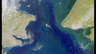 US Russia Science Corner - Fisheries - 28 January 2022, Russian audio