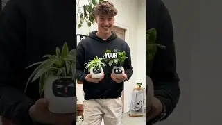 Smart Planter Pot 2025 AI-Powered Plant Care & Fun Reactions! 🌱✨#smartplant #robot #aiplanet