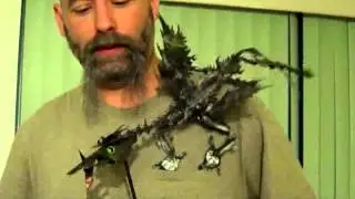 Feisty the Dragon