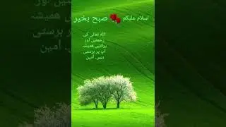 beautiful Islamic videos #islamic videos #videoviral shorts #quotes #islamicgreeting #love
