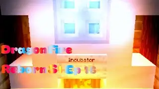 DragonFireReborn S1 Ep16, getting back from the Netherland!
