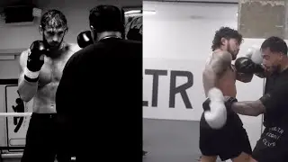 Logan Paul Responds To Dillon Danis Showing Off In New Boxing Video