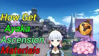 🎮Genshin Impact 😁How Get Ayaka Ascension Materials 😄Sakura Bloom - Perpetual heart (Guide)😎
